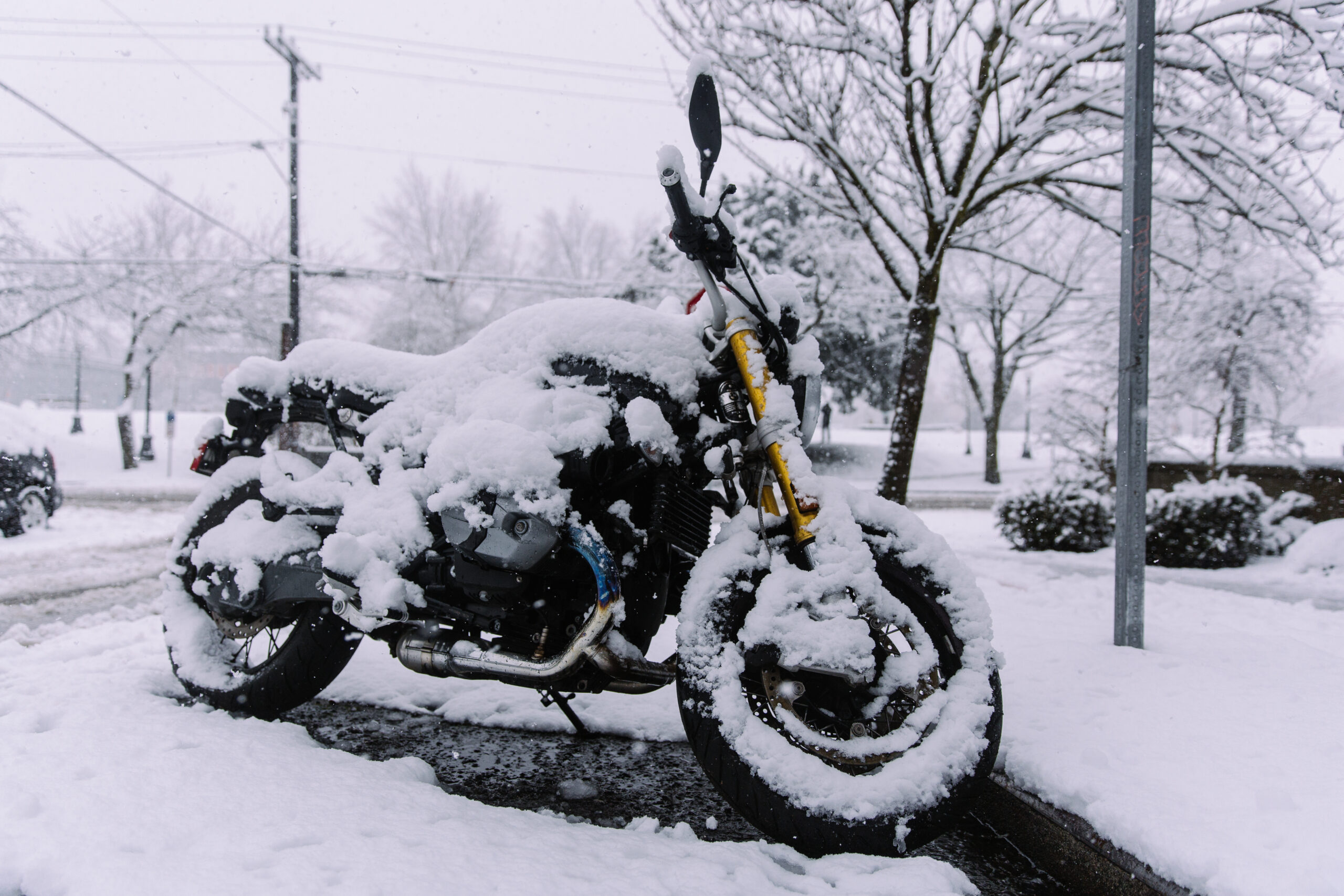 Snow Day Snow Day